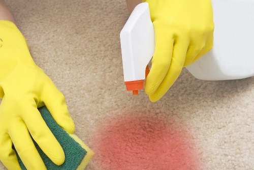 Professional carpet cleaner in action