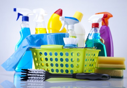 Professional window cleaning service