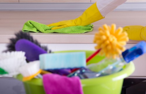 Professional team performing house clearance
