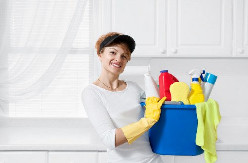 Professional cleaning of upholstered furniture