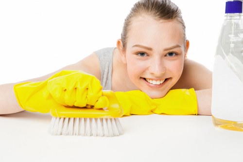 Advanced steam cleaning equipment