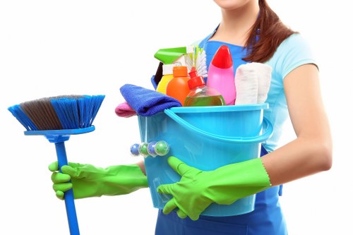 Expert cleaning professionals handling facade and carpets