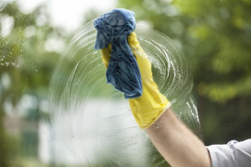 Eco-friendly carpet cleaning solutions being applied